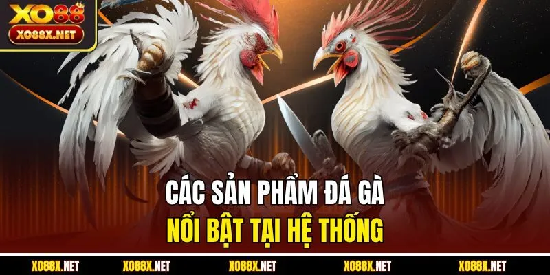 Các sản phẩm đá gà nổi bật tại hệ thống