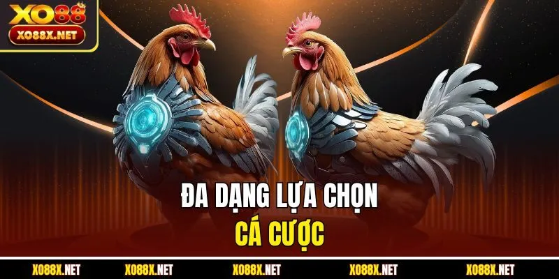 Đa dạng lựa chọn cá cược