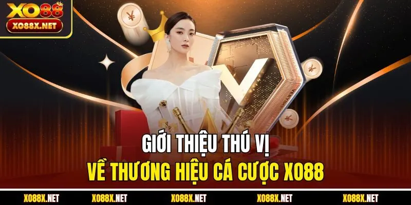 Giới thiệu thú vị về thương hiệu cá cược XO88